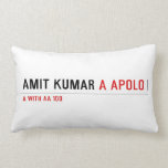 Amit kumar  Pillows (Lumbar)