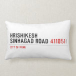 HrishiKesh Sinhagad Road  Pillows (Lumbar)