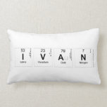 Ivan  Pillows (Lumbar)