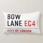 Bow Lane  Pillows (Lumbar)