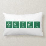 CEDIMI  Pillows (Lumbar)