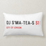 dj s'ma-tea-s  Pillows (Lumbar)