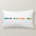 Delaware Township School
   Pillows (Lumbar)