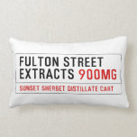 Fulton street Extracts  Pillows (Lumbar)