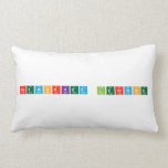 NetWorked Learning  Pillows (Lumbar)