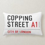 Copping Street  Pillows (Lumbar)