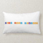 Canned Food Donations  Pillows (Lumbar)