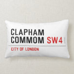 Clapham Commom  Pillows (Lumbar)