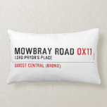 Mowbray Road  Pillows (Lumbar)
