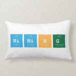 nining  Pillows (Lumbar)