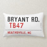 BRYANT RD.   Pillows (Lumbar)