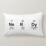 Nerdy  Pillows (Lumbar)