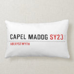 Capel Madog  Pillows (Lumbar)