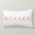 Beloved  Pillows (Lumbar)