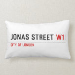 JONAS STREET  Pillows (Lumbar)