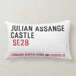 JULIAN ASSANGE CASTLE    Pillows (Lumbar)