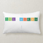 Think Science
 
   Pillows (Lumbar)