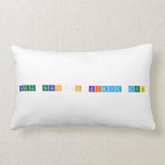 Cagla hocanın kimya dersi  Pillows (Lumbar)