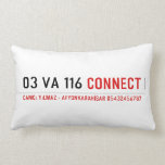 03 VA 116  Pillows (Lumbar)