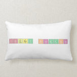 Sourav Karmakar  Pillows (Lumbar)