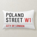 Poland Street  Pillows (Lumbar)