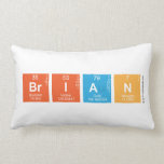 Brian  Pillows (Lumbar)