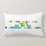 Do you trust me?
 Really?
 No. Si. No.
 I don’t trust you.   Pillows (Lumbar)