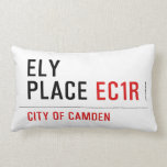 Ely Place  Pillows (Lumbar)