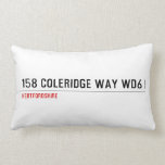 158 Coleridge Way  Pillows (Lumbar)