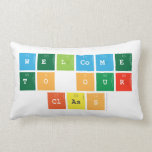 Welcome 
 to our
  class  Pillows (Lumbar)