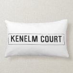 Kenelm Court  Pillows (Lumbar)