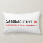 Carbonaro street  Pillows (Lumbar)