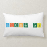 Science Lab  Pillows (Lumbar)