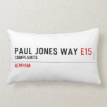 Paul Jones Way  Pillows (Lumbar)