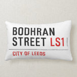 Bodhran Street  Pillows (Lumbar)