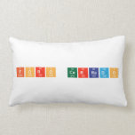 Foro Cerrado  Pillows (Lumbar)