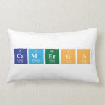 Cameron  Pillows (Lumbar)