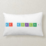 Mr Dinkles!  Pillows (Lumbar)