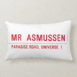 MR   Pillows (Lumbar)