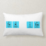 Tek it  Pillows (Lumbar)