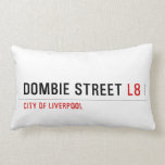  Dombie Street  Pillows (Lumbar)