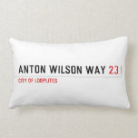 Anton Wilson Way  Pillows (Lumbar)
