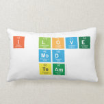I love
 Mod
 Team  Pillows (Lumbar)