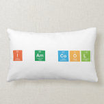 i am cool  Pillows (Lumbar)