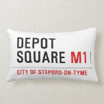 Depot Square  Pillows (Lumbar)