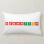 ArHeKrNeRnUuoXe  Pillows (Lumbar)