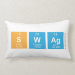 SWAG  Pillows (Lumbar)