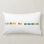 Success is elemental  Pillows (Lumbar)