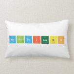 Mobi|Sci|Labs   Pillows (Lumbar)