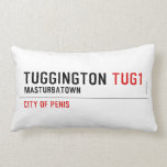 Tuggington  Pillows (Lumbar)